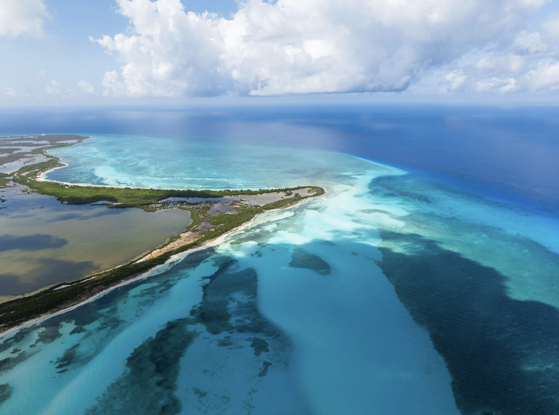 Cozumel: a day trip from Playa del Carmen